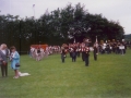wd-11.jpg
