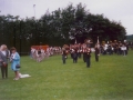 wd-5.jpg
