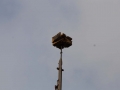 IMG_9506.JPG